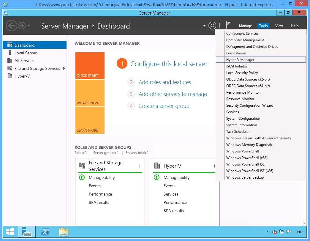 Figure 1.1 Screenshot of the device PLABHYPERV